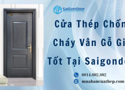 Cửa Thép Chống Cháy Vân Gỗ Giá Tốt Tại Saigondoor