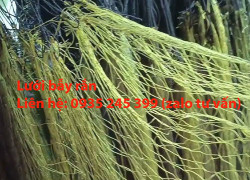 lưới giăng bắt rắn bằng chỉ dù TPHCM