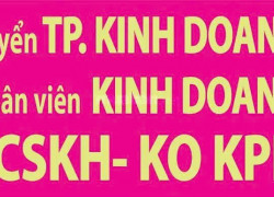 CTY Ô DÙ VIỆT Tuyển TPKD, NVKD, CSKH ko áp KPI thu nhập ổn định