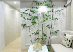 Bùi Ngọc Dương  - Hai Bà Trưng - Hà Nội