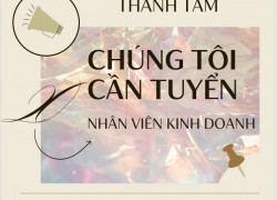 CTY Ô DÙ VIỆT Tuyển TPKD, NVKD, CSKH ko áp KPI thu nhập ổn định