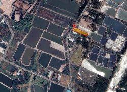 Bán đất mặt tiền đường Trần Quang Nhơn -  Bình Khánh, Cần Giờ