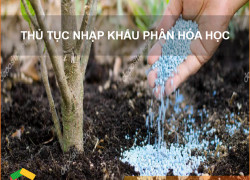 Thủ tục nhập khẩu Phân Hóa Học