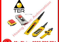 Nhà cung cấp Pendant Control TER tại việt nam