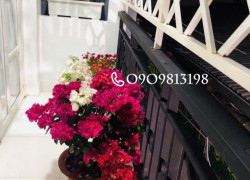 🎯🎯🎯Nhà Q11 - SHR Giá Tốt Chốt Nhanh!🎯🎯🎯