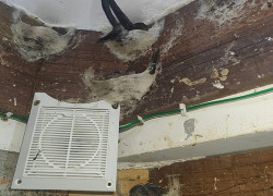 LOA RU CAO CẤP VX61PRO CHỐNG NƯỚC, SẴN DÂY, CÓ MÀNG CHUYÊN DỤNG CHO NHÀ YẾN