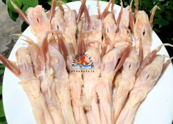 lưỡi vịt