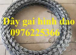 Dây kẽm gai vòng tròn D30, D45, D50, D60