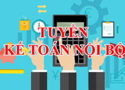 Cty Phuong Vy Npp pepsi Tuyển 01 kế toán nội bộ làm tại Q8