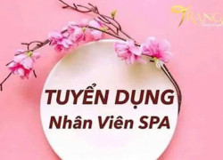 Tuyển KTV SPA & NVKD làm tại Hoàng Mai , Hà Nội