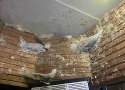 LOA RU CAO CẤP VX88 SẴN DÂY, CÓ MÀNG CHUYÊN DỤNG HIỆU QUẢ CHO NHÀ YẾN