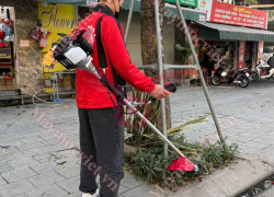 Máy cắt cỏ vai chạy xăng 4 thì Cali CL35 đỏ giá rẻ