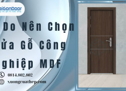 Lý Do Nên Chọn Cửa Gỗ Công Nghiệp MDF
