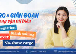 NHỮNG RỦI RO TRONG VẬN TẢI ĐƯỜNG BIỂN ẢNH HƯỞNG ĐẾN CHUỖI CUNG ỨNG