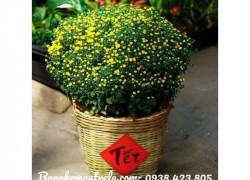 Giỏ cần xé