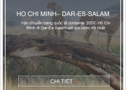 Giá cước vận tải biển từ việt nam đi cảng dar-es-salam, tanzania