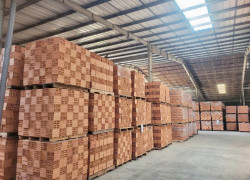 Chuyển nhượng đất khai thác ks và nhà máy gạch 30ha tại Đức Huệ, Long An