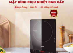 Bếp Từ Cảm Ứng TK 130I TaKing Hiện Đại, Nhỏ Gọn, Tiết Kiệm Điện Năng