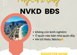 Tuyển Nhân viên kinh doanh BĐS Đà Nẵng không cần kinh nghiệm