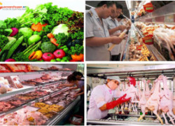 Những thay đổi về kiểm tra chuyên ngành cho hàng Thực Phẩm Nhập Khẩu