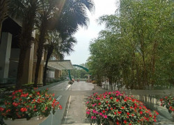 N2D  - Hoàng minh giám và lê văn lương