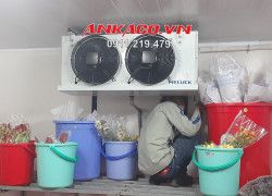Cung cấp, sửa chữa, cải tạo kho lạnh trữ quả hoa tươi Tại LÂM ĐỒNG (0947 459 479)