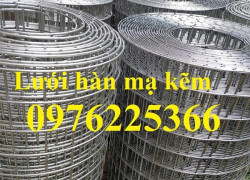 Cuộn lưới thép mạ kẽm ô 25x25 khổ 1m x 30m