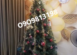 🌸🌸🌸Nhà 4 Tầng Đẹp Bán Nhanh – SHR Q5 Sang Tên Ngay.🌸🌸🌸