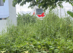 BÁN ĐẤT PHÂN LÔ ĐƯỜNG BƯNG ÔNG THOÀN, PHÚ HỮU – NGANG 5M, 100M2, GIÁ 6.2 TỶ