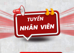Việc làm thời vụ cho sinh viên Quận Tân Bình - Xoay ca linh hoạt