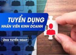 An Phát Holding Cần Tuyển Chuyên Viên Kinh Doanh BĐS làm Hà Nội