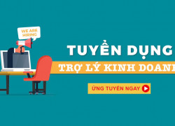An Phát Holding Cần Tuyển Trợ Lý Kinh Doanh BĐS tại Hà Nội