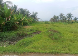 DUY NHẤT 1 LÔ – SÁT VINHOMES 197HA ĐANG THI CÔNG