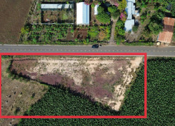 Bán đất 111m2 tại xã Long Tân, huyện Long Đất, bà Rịa-Vũng Tàu chỉ với 330 triệu