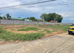 Bán đất Mt Ql 50 - Gò công, Giá 500tr, Dt 100m2, Shr, công chứng sang tên ngay