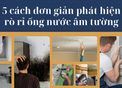 Kiểm tra nước trước, không thì "vỡ mặt"!