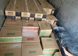 Dầu nhớt Plutus - Sự lựa chọn hoàn hảo cho động cơ của bạn