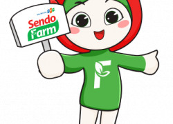 🔹 TUYỂN ĐỐI TÁC NHẬN HÀNG CHO SENDO FARM 🔹