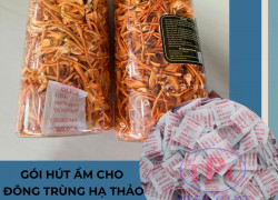Bảo quản Đông Trùng với gói hút ẩm Silicagel