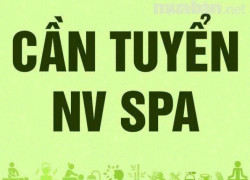 Tuyển KTV gội đầu dưỡng sinh, masage body cổ vai gáy