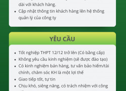 FE CREDIT tuyển NV tư vấn CSKH , giao tiếp tốt - thu nhập cực cao
