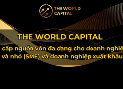 💼 Giải pháp vốn linh hoạt cho doanh nghiệp vừa & nhỏ (SMEs) trong bối cảnh mới