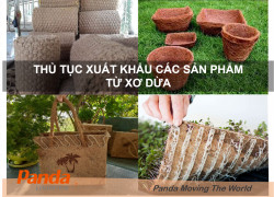 Thủ Tục Xuất Khẩu Các Sản Phẩm Từ Xơ Dừa