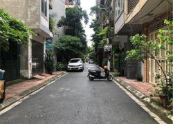 BÁN NHÀ ĐẸP CẦU GIẤY DIỆN TÍCH  KHỦNG 76M, Ô TÔ KINH DOANH, CHÀO 22.9 TỶ