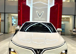 Vf6 trắng ngọc trinh