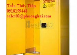 🔥 TỦ ĐỰNG CHỐNG CHÁY CHUYÊN DỤNG CHO PHÒNG THÍ NGHIỆM 🔥