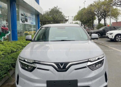 Vf8