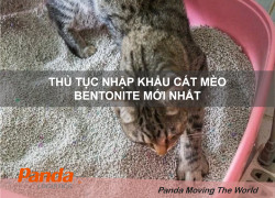 Thủ tục nhập khẩu Cát Mèo Bentonite mới nhất