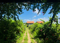 Thuê Villa Hồ Tràm View Đồi – Ưu Đãi Mùa Hè Tới 25%