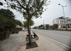 BÁN ĐẤT THƯƠNG MẠI DỊCH VỤ TẠI TRUNG TÂM TP VĨNH YÊN – VỊ TRÍ ĐẮC ĐỊA
